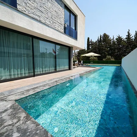 Willa The Ni Akyarlar -