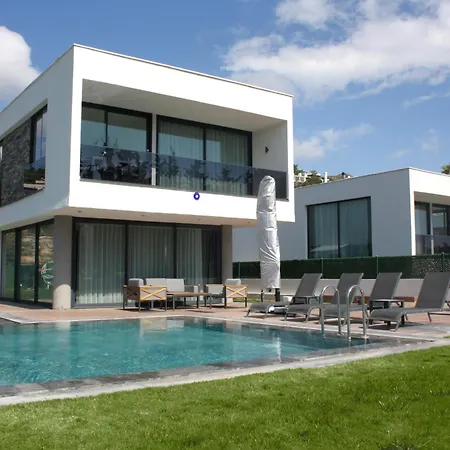 Willa The Ni Akyarlar - *