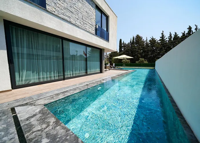 Vila The Ni Akyarlar -