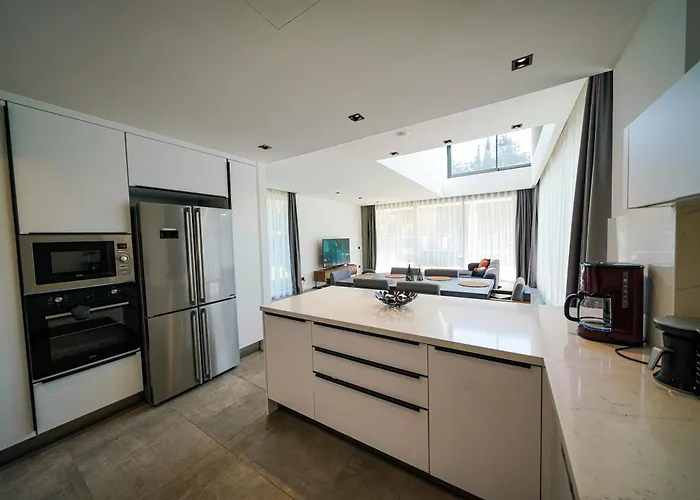 Vila The Ni Akyarlar -